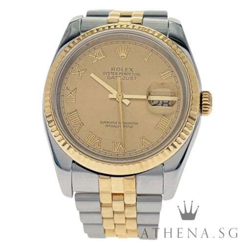 ROLEX 18K HALF YELLOW GOLD OYSTER PERPETUAL MENS DATEJUST 36MM "D" SERIES "CHAMPAGNE ROMAN DIAL" (WATCH ONLY) 116233